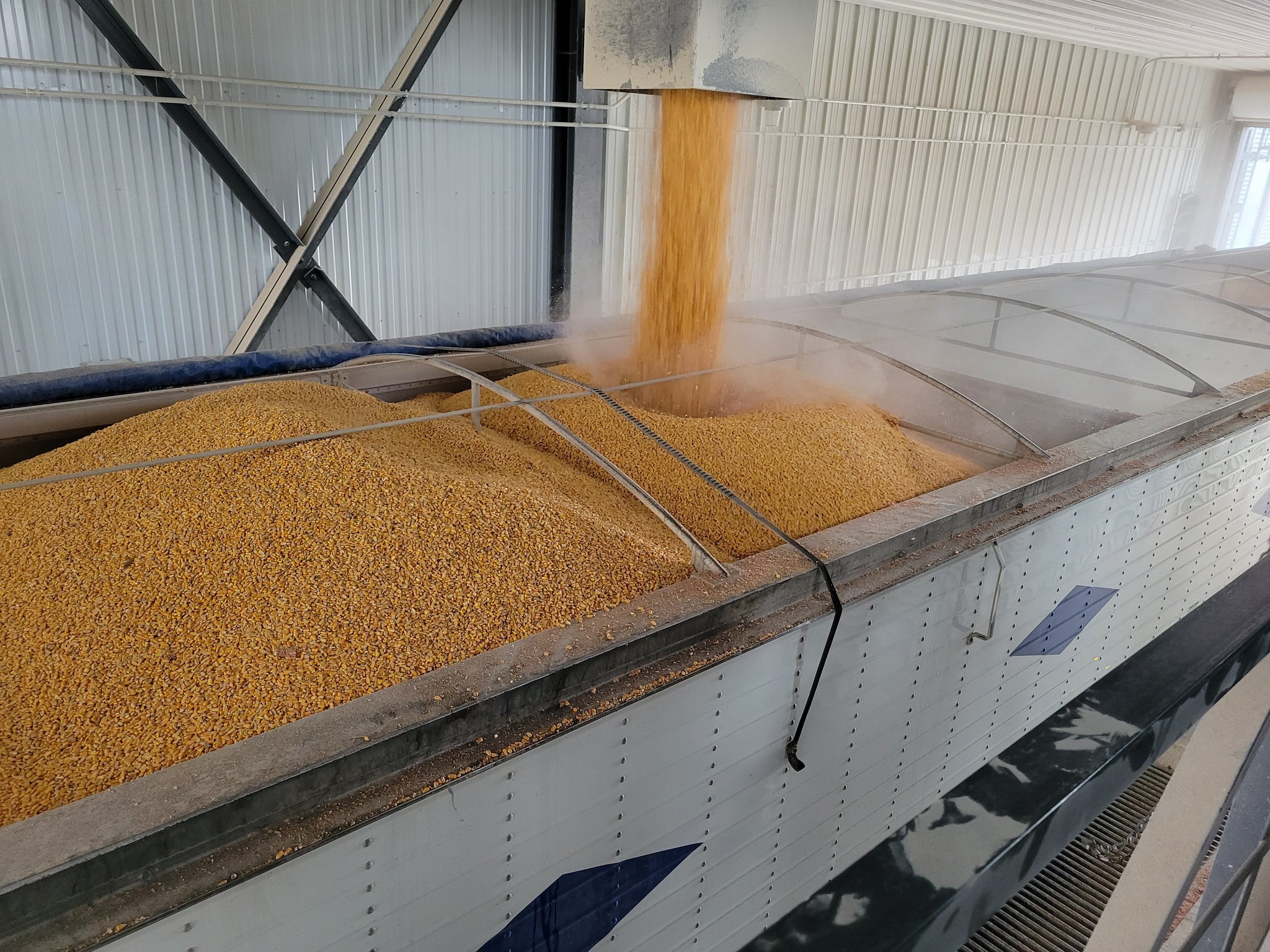 Introducing Market Merchandise   Corn In Grain Bin 